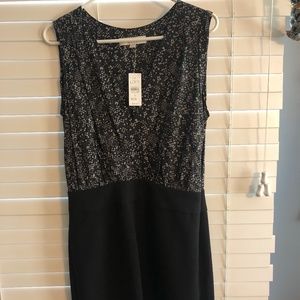 Loft Dress  NWT. Size 6